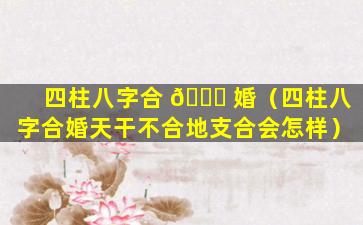 四柱八字合 🐎 婚（四柱八字合婚天干不合地支合会怎样）